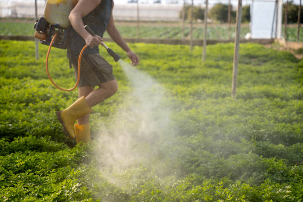 Best Commercial Pest Control Services  in West Chester, PA