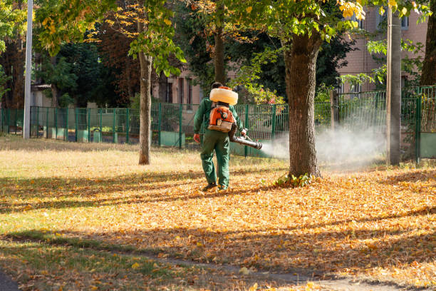Best Wasp Removal Services  in West Chester, PA