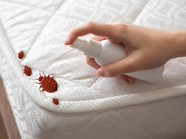 Best Best Pest Control Companies  in West Chester, PA
